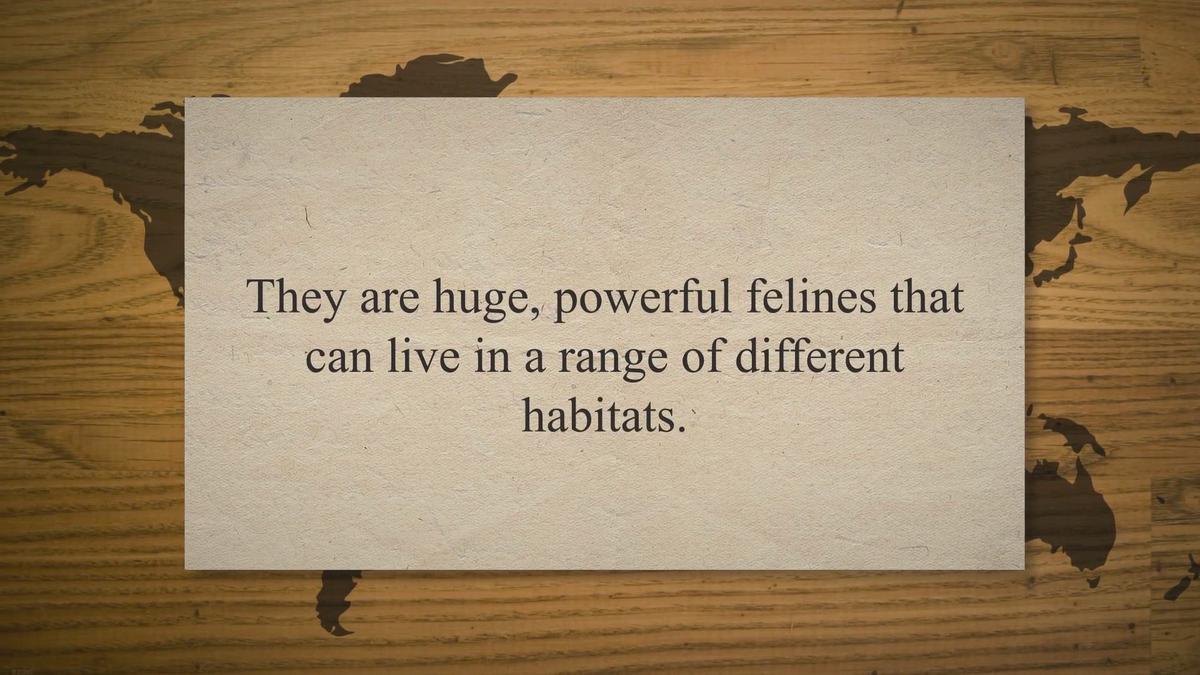 Where do Tigers Live - Tigers Habitat - Where are Tigers Found