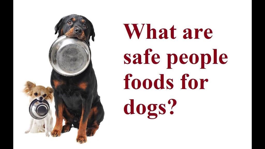 'Video thumbnail for Ask Amy Shojai: What Are Safe Table Food for Dogs We Can Share for Thanksgiving, Christmas & Holidays?'