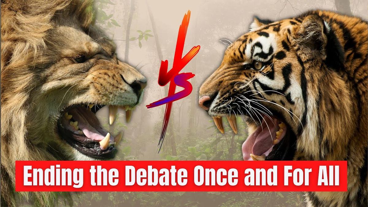 'Video thumbnail for Lion vs Tiger Who Would Win - Ending the Debate Once and For All'