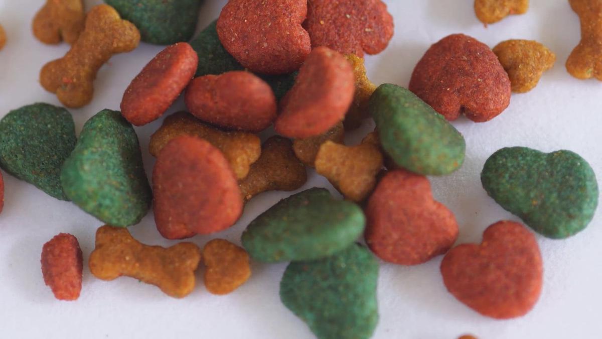 'Video thumbnail for Understanding Dog food ingredients'