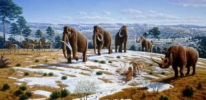 Saber Tooth Tiger Habitat – Where did the Saber Tooth Tiger Live