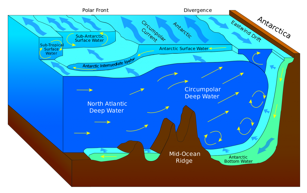 Arctic Ocean Facts for Kids Information About Arctic Ocean