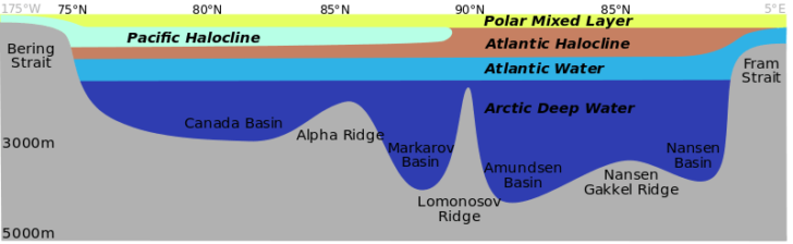 Arctic Ocean Facts for Kids - Information About Arctic Ocean