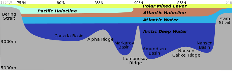 arctic-ocean-facts-for-kids-information-about-arctic-ocean