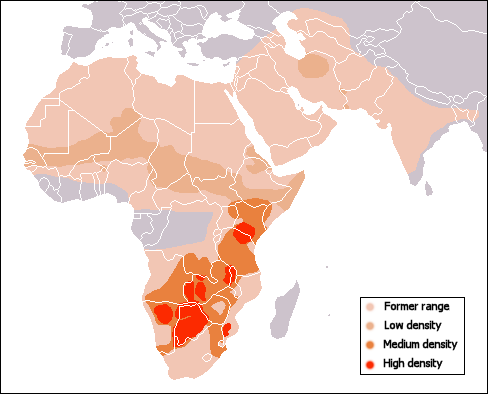 Cheetah habitat map