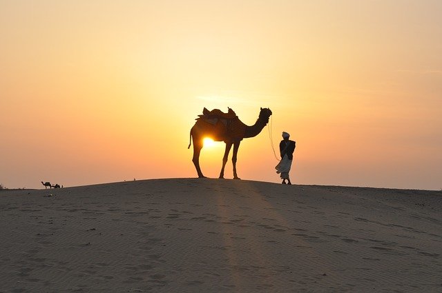 Camel size