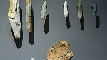 Stone Age Tools And Weapons Information