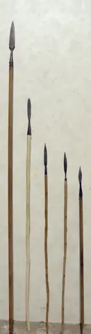 spears - stone age weapons
