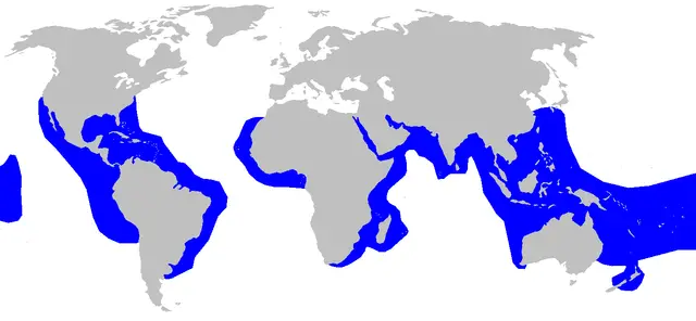 tiger shark habitat map
