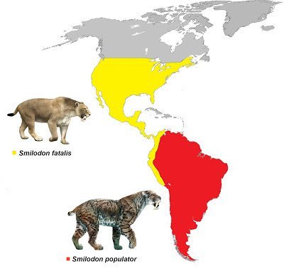 Sabertooth Tiger Habitat Map