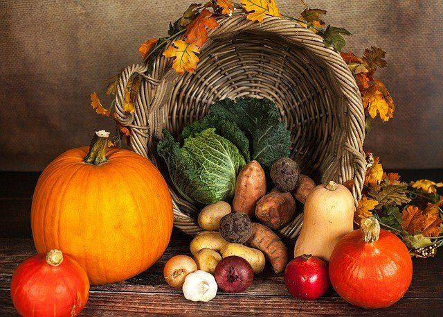 Thanksgiving Facts For Kids - Thanksgiving Information For Kids
