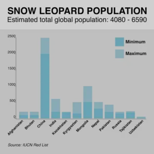 Snow Leopard Facts For Kids - Snow Leopard Information For Kids
