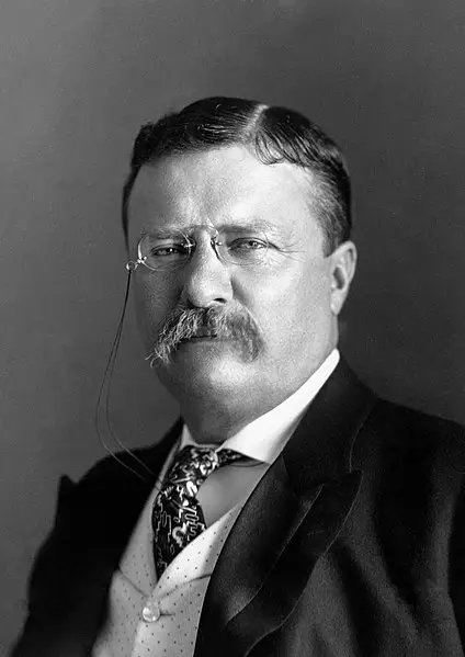 Theodore Roosevelt Facts For Kids