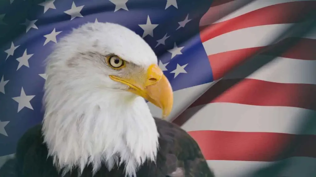 What Does The Bald Eagle Represent? So many things, you may want to know