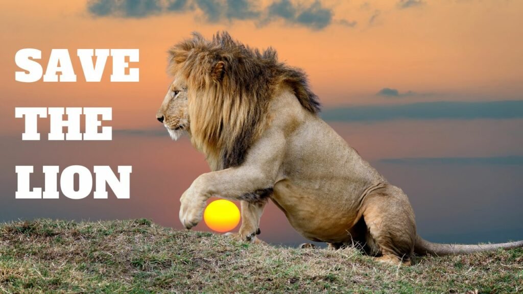 lion conservation