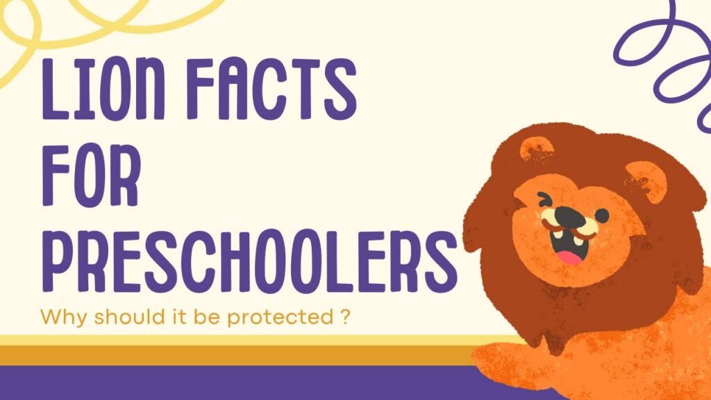 The Best Lion Facts for Preschoolers