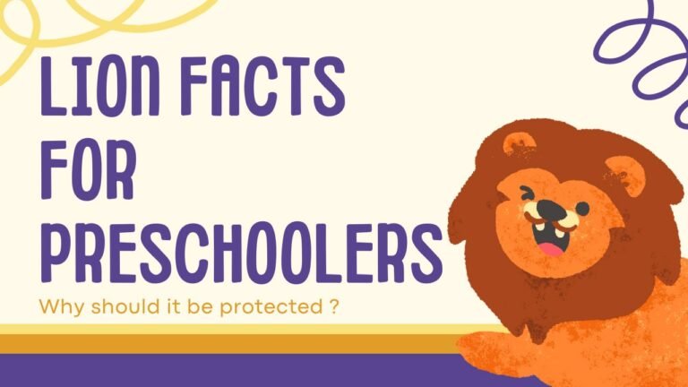 lion facts