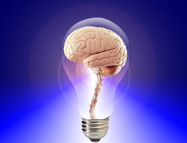 brain in a buld, idea