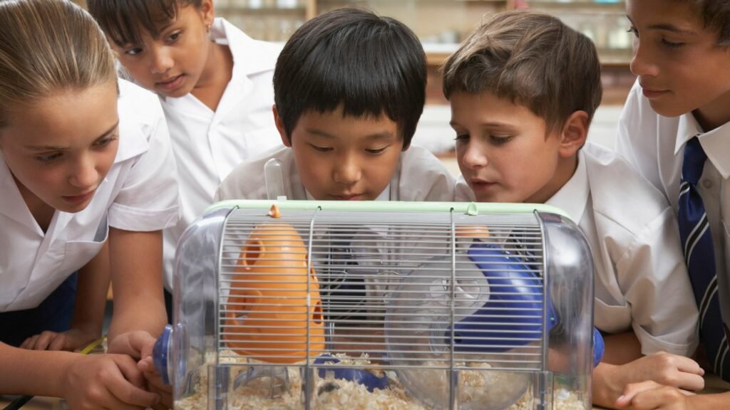 The Role of Pets in Classrooms