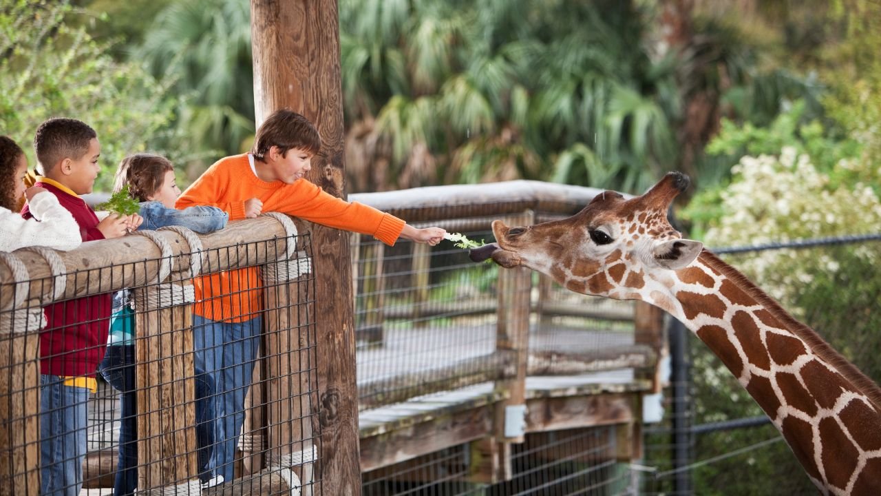 Biggest Zoo in America