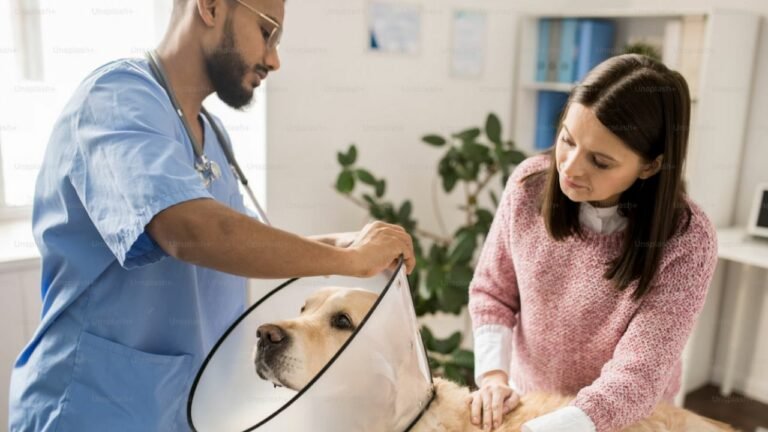 Pet Insurance Claims