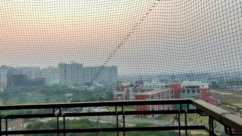 Does Anti-Bird Netting Work on Seagulls, Pigeons, and Other Urban Birds?