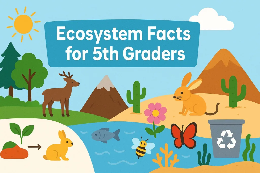 Ecosystem Facts for 5th Graders