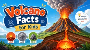 Volcano Facts for Kids