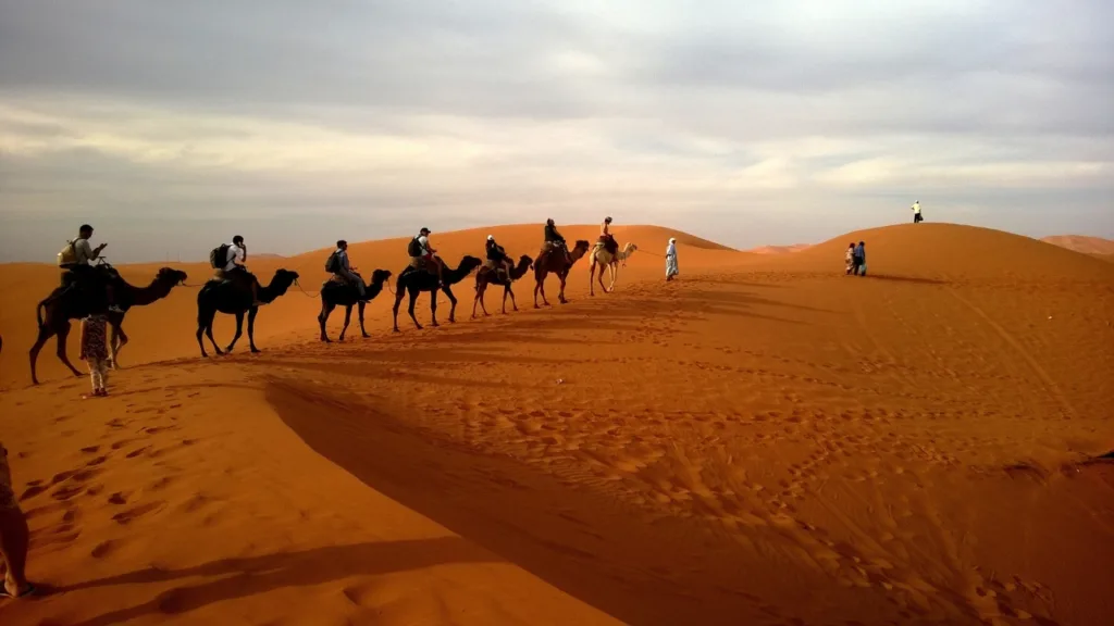 Sahara dessert