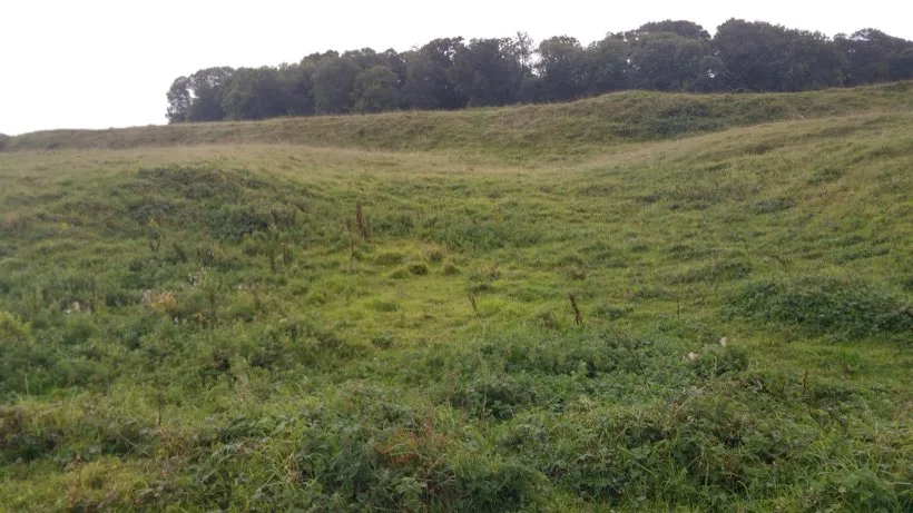 A grassy hillside with two long parallel banks and a deep ditch between them, trees along the skyline.