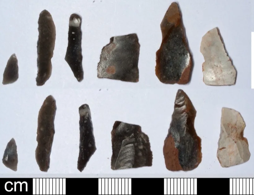 Twelve small dark flint blades arranged in two rows above a centimetre scale, most under three centimetres long.