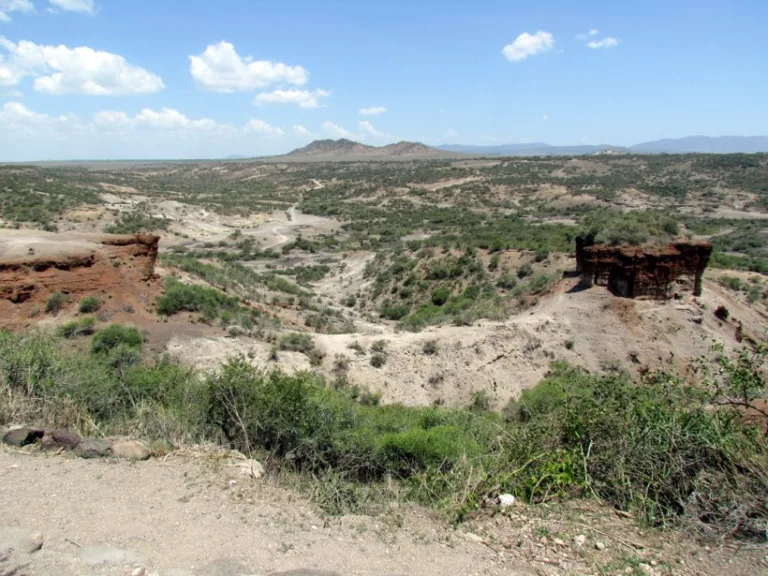 A dry gorge cutting through scrubby green hills under a blue sky, with pale eroded rock faces.