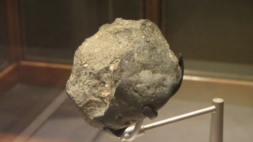 A rounded grey basalt chopping tool with flakes struck off one edge, mounted in a museum case.