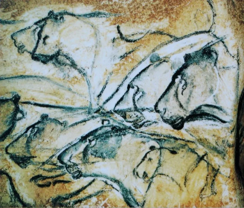 Several lions drawn in black outline on a pale cave wall, overlapping, seen in profile.